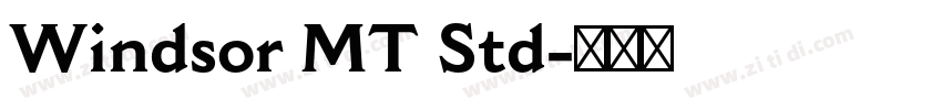 Windsor MT Std字体转换